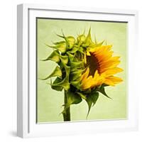 Birth-Philippe Sainte-Laudy-Framed Photographic Print