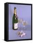 Birthday Bubbly-null-Framed Stretched Canvas