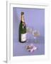 Birthday Bubbly-null-Framed Photographic Print