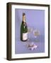 Birthday Bubbly-null-Framed Photographic Print