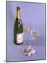 Birthday Bubbly-null-Mounted Photographic Print