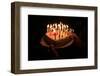 Birthday cake, France-Godong-Framed Photographic Print