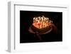 Birthday cake, France-Godong-Framed Photographic Print