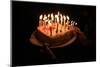 Birthday cake, France-Godong-Mounted Photographic Print