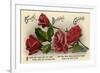 Birthday Card, C1900-1929-null-Framed Giclee Print