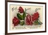 Birthday Card, C1900-1929-null-Framed Giclee Print