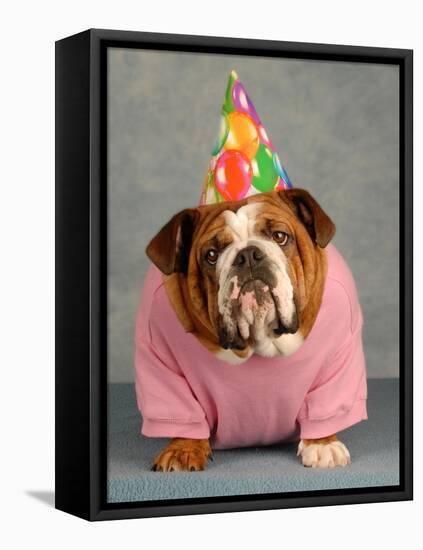 Birthday Dog On Blue-Willee Cole-Framed Stretched Canvas