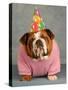 Birthday Dog On Blue-Willee Cole-Stretched Canvas