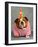 Birthday Dog On Blue-Willee Cole-Framed Photographic Print