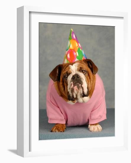 Birthday Dog On Blue-Willee Cole-Framed Photographic Print