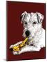 Birthday Parson Dog on Red Oxide, 2020, (Pen and Ink)-Mike Davis-Mounted Giclee Print