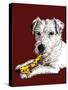 Birthday Parson Dog on Red Oxide, 2020, (Pen and Ink)-Mike Davis-Stretched Canvas