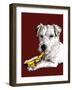 Birthday Parson Dog on Red Oxide, 2020, (Pen and Ink)-Mike Davis-Framed Giclee Print