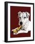 Birthday Parson Dog on Red Oxide, 2020, (Pen and Ink)-Mike Davis-Framed Giclee Print