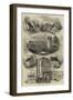 Birthplace and Relics of John Bunyan-null-Framed Giclee Print