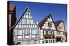 Birthplace of Friedrich Schiller-Markus-Stretched Canvas