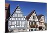 Birthplace of Friedrich Schiller-Markus-Mounted Photographic Print