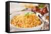 Biryani Rice or Briyani Rice, Fresh Cooked, Traditional Indian Food on Dining Table.-szefei-Framed Stretched Canvas