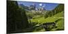 BischofsmŸtze, Aualm, Filzmoos, Salzburg, Austria-Rainer Mirau-Mounted Photographic Print