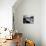 Biscoitos Coast, Terceira Island, Azores, Portugal, Atlantic, Europe-De Mann Jean-Pierre-Stretched Canvas displayed on a wall