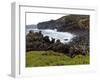 Biscoitos Coast, Terceira Island, Azores, Portugal, Atlantic, Europe-De Mann Jean-Pierre-Framed Photographic Print