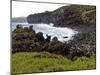 Biscoitos Coast, Terceira Island, Azores, Portugal, Atlantic, Europe-De Mann Jean-Pierre-Mounted Photographic Print