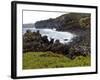 Biscoitos Coast, Terceira Island, Azores, Portugal, Atlantic, Europe-De Mann Jean-Pierre-Framed Photographic Print