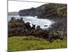 Biscoitos Coast, Terceira Island, Azores, Portugal, Atlantic, Europe-De Mann Jean-Pierre-Mounted Photographic Print