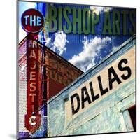 Bishop Art - Dallas-Sisa Jasper-Mounted Art Print