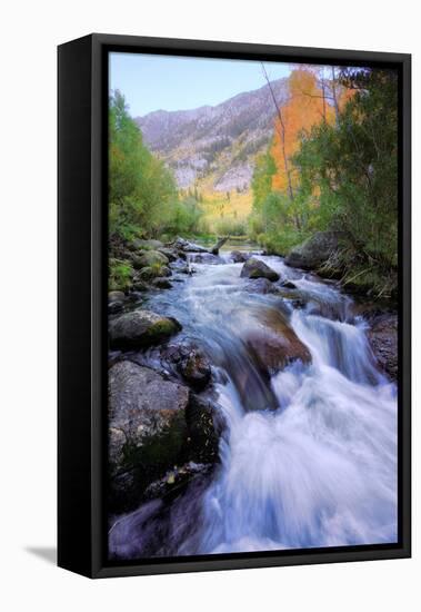 Bishop Canyon Creek Autumn Flow, Sierra Nevada-Vincent James-Framed Stretched Canvas