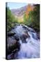 Bishop Canyon Creek Autumn Flow, Sierra Nevada-Vincent James-Stretched Canvas