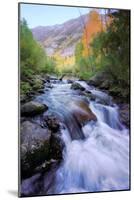 Bishop Canyon Creek Autumn Flow, Sierra Nevada-Vincent James-Mounted Photographic Print