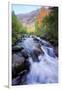 Bishop Canyon Creek Autumn Flow, Sierra Nevada-Vincent James-Framed Photographic Print
