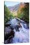 Bishop Canyon Creek Autumn Flow, Sierra Nevada-Vincent James-Stretched Canvas