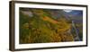 Bishop Canyon Road in Autumn, June Lake, Eastern Sierras-Vincent James-Framed Photographic Print