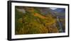 Bishop Canyon Road in Autumn, June Lake, Eastern Sierras-Vincent James-Framed Photographic Print