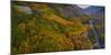 Bishop Canyon Road in Autumn, June Lake, Eastern Sierras-Vincent James-Mounted Photographic Print