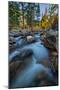 Bishop Creek Canyon Flow, Eastern Sierras California-Vincent James-Mounted Photographic Print