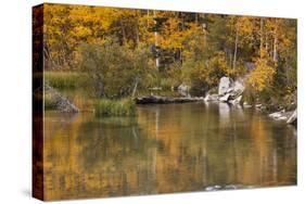 Bishop Creek. Outlet and Fall Color Below Sabrina Lake-Michael Qualls-Stretched Canvas