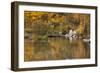 Bishop Creek. Outlet and Fall Color Below Sabrina Lake-Michael Qualls-Framed Photographic Print