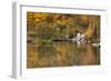 Bishop Creek. Outlet and Fall Color Below Sabrina Lake-Michael Qualls-Framed Photographic Print