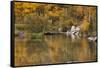 Bishop Creek. Outlet and Fall Color Below Sabrina Lake-Michael Qualls-Framed Stretched Canvas