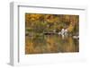 Bishop Creek. Outlet and Fall Color Below Sabrina Lake-Michael Qualls-Framed Photographic Print