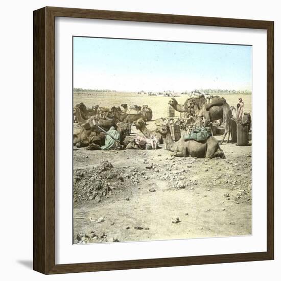 Biskra (Algeria), Caravan at Rest-Leon, Levy et Fils-Framed Photographic Print