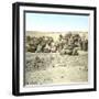 Biskra (Algeria), Caravan at Rest-Leon, Levy et Fils-Framed Photographic Print