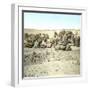 Biskra (Algeria), Caravan at Rest-Leon, Levy et Fils-Framed Photographic Print