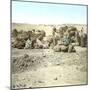 Biskra (Algeria), Caravan at Rest-Leon, Levy et Fils-Mounted Photographic Print