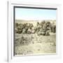 Biskra (Algeria), Caravan at Rest-Leon, Levy et Fils-Framed Photographic Print