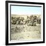 Biskra (Algeria), Caravan at Rest-Leon, Levy et Fils-Framed Photographic Print