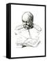 Bismarck Reads, 1877-null-Framed Stretched Canvas